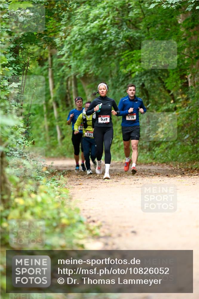 11.10.2026 - Bramfelder Halbmarathon 2026 Dr. Thomas Lammeyer http://msf.ph/oto/10826052 11.10.2026 10:53:20 Laufen 65, 195, 539, 116 meine-sportfotos.de