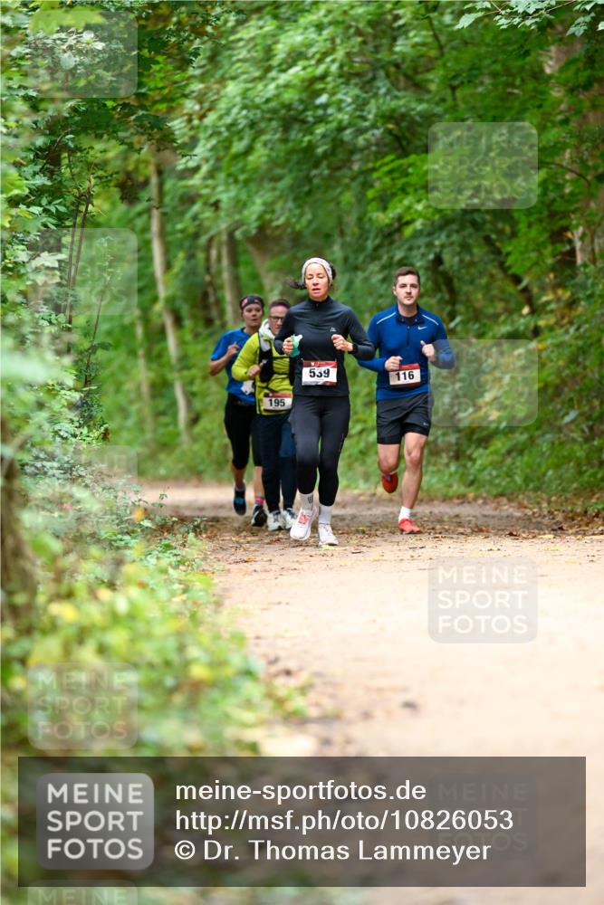 11.10.2026 - Bramfelder Halbmarathon 2026 Dr. Thomas Lammeyer http://msf.ph/oto/10826053 11.10.2026 10:53:20 Laufen 195, 539, 116 meine-sportfotos.de