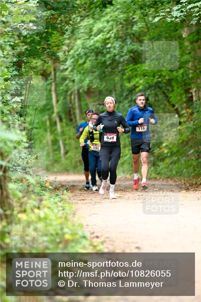 11.10.2026 - Bramfelder Halbmarathon 2026 Dr. Thomas Lammeyer http://msf.ph/oto/10826055 11.10.2026 10:53:21 Laufen 195, 539, 116 meine-sportfotos.de