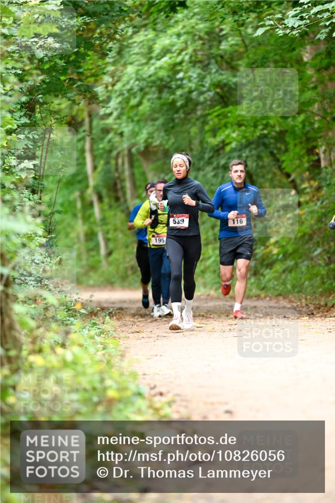 11.10.2026 - Bramfelder Halbmarathon 2026 Dr. Thomas Lammeyer http://msf.ph/oto/10826056 11.10.2026 10:53:21 Laufen 195, 539, 116 meine-sportfotos.de