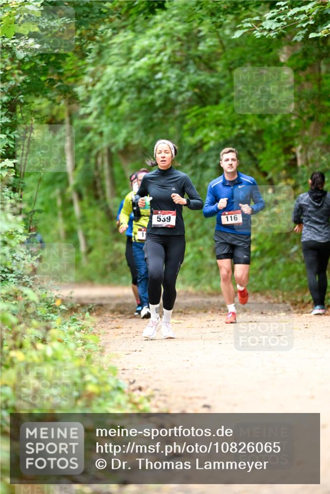 11.10.2026 - Bramfelder Halbmarathon 2026 Dr. Thomas Lammeyer http://msf.ph/oto/10826065 11.10.2026 10:53:22 Laufen 539, 116 meine-sportfotos.de