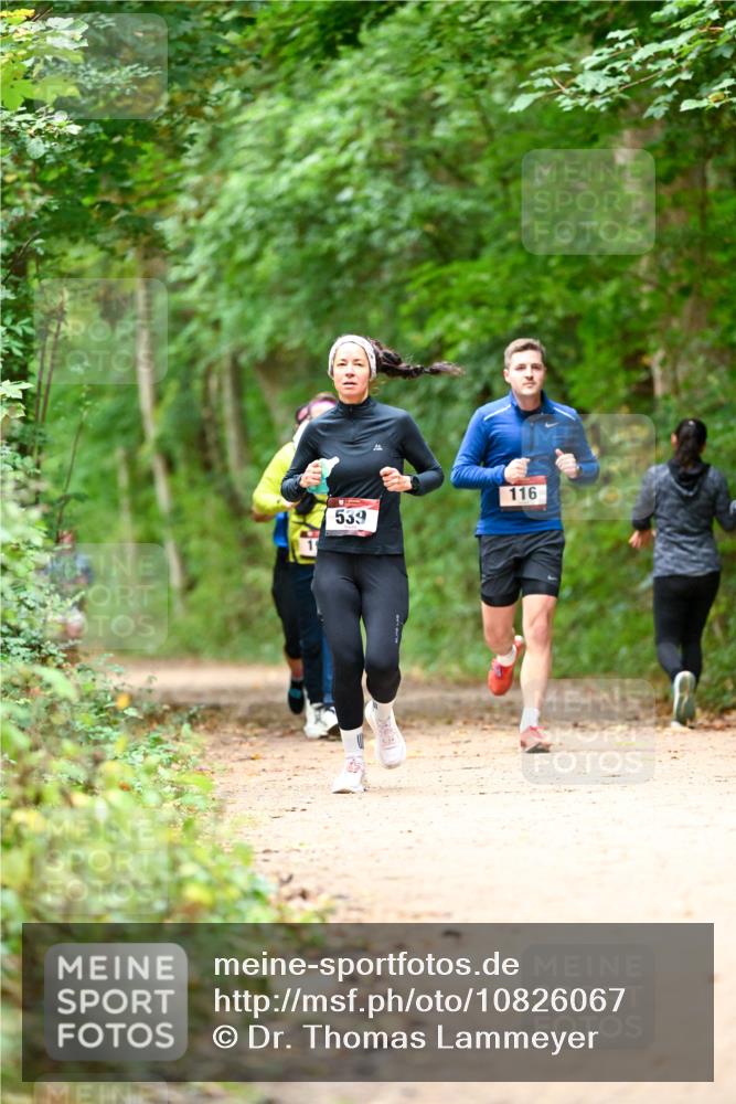 11.10.2026 - Bramfelder Halbmarathon 2026 Dr. Thomas Lammeyer http://msf.ph/oto/10826067 11.10.2026 10:53:22 Laufen 19, 539, 116 meine-sportfotos.de