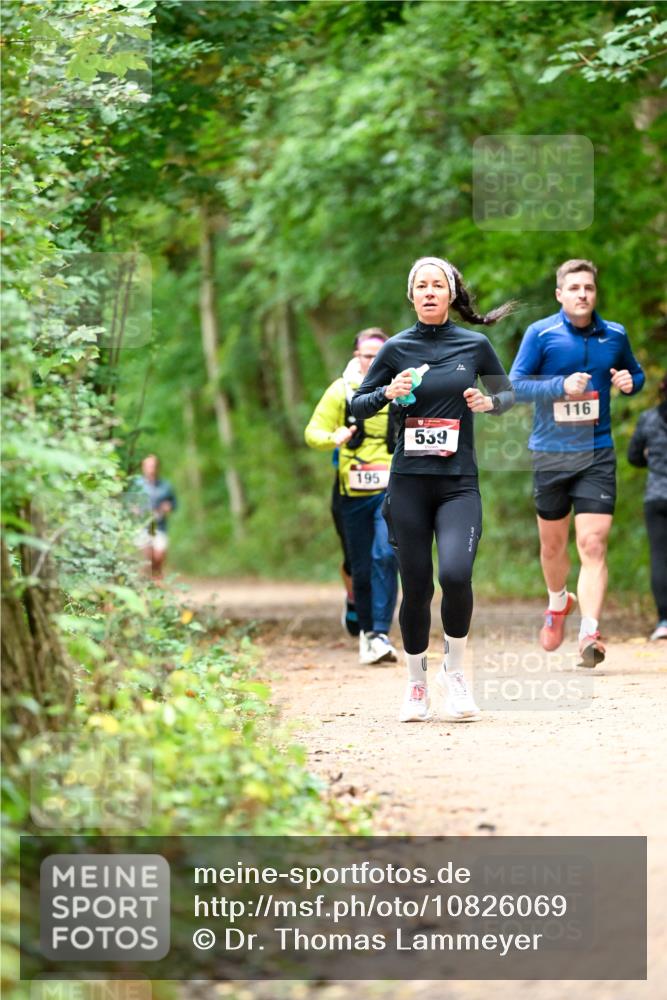 11.10.2026 - Bramfelder Halbmarathon 2026 Dr. Thomas Lammeyer http://msf.ph/oto/10826069 11.10.2026 10:53:23 Laufen 195, 539, 116 meine-sportfotos.de