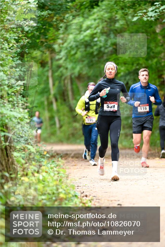 11.10.2026 - Bramfelder Halbmarathon 2026 Dr. Thomas Lammeyer http://msf.ph/oto/10826070 11.10.2026 10:53:23 Laufen 195, 559, 116 meine-sportfotos.de