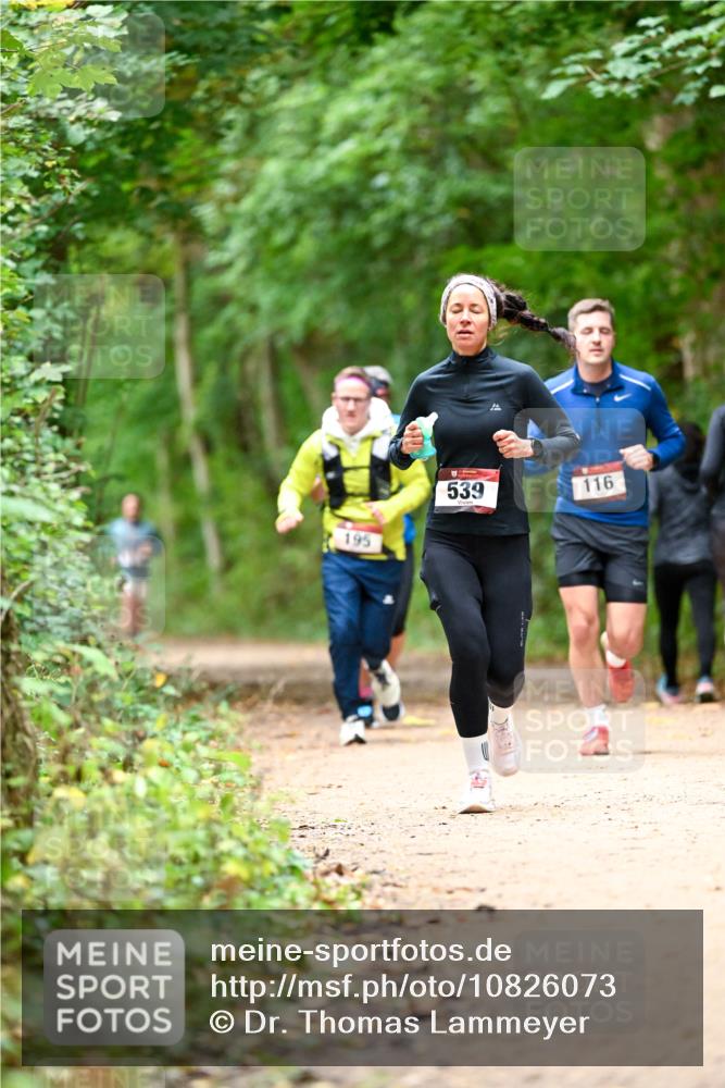 11.10.2026 - Bramfelder Halbmarathon 2026 Dr. Thomas Lammeyer http://msf.ph/oto/10826073 11.10.2026 10:53:24 Laufen 195, 539, 116 meine-sportfotos.de