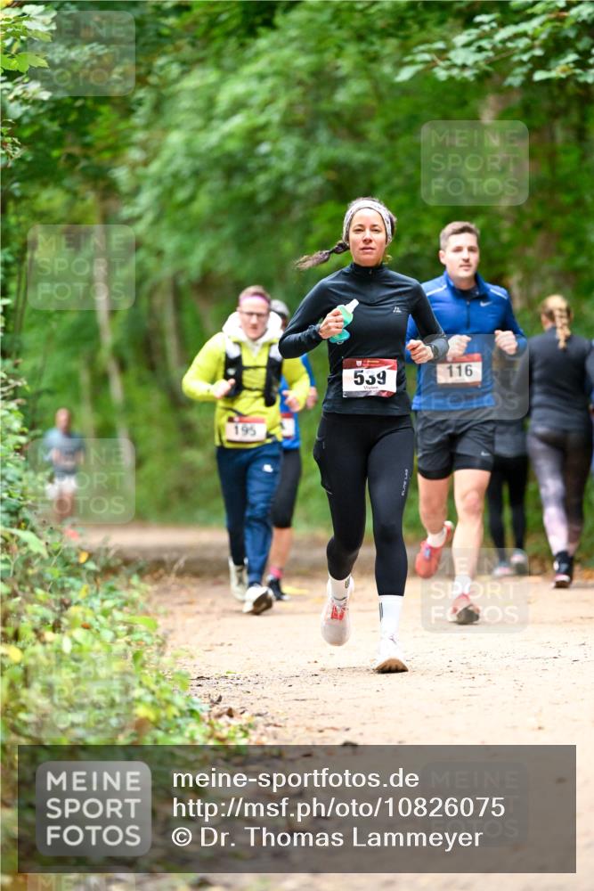 11.10.2026 - Bramfelder Halbmarathon 2026 Dr. Thomas Lammeyer http://msf.ph/oto/10826075 11.10.2026 10:53:24 Laufen 195, 539, 116 meine-sportfotos.de