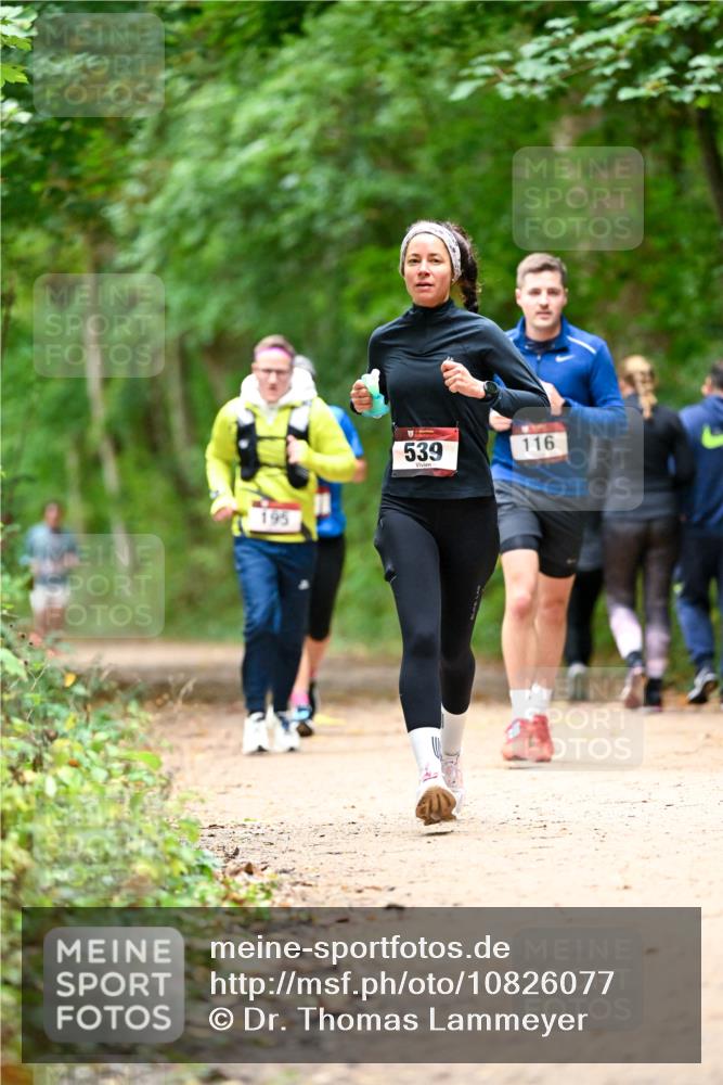 11.10.2026 - Bramfelder Halbmarathon 2026 Dr. Thomas Lammeyer http://msf.ph/oto/10826077 11.10.2026 10:53:24 Laufen 195, 539, 116 meine-sportfotos.de