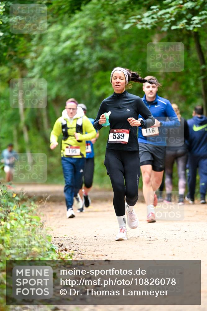 11.10.2026 - Bramfelder Halbmarathon 2026 Dr. Thomas Lammeyer http://msf.ph/oto/10826078 11.10.2026 10:53:24 Laufen 195, 539, 116 meine-sportfotos.de