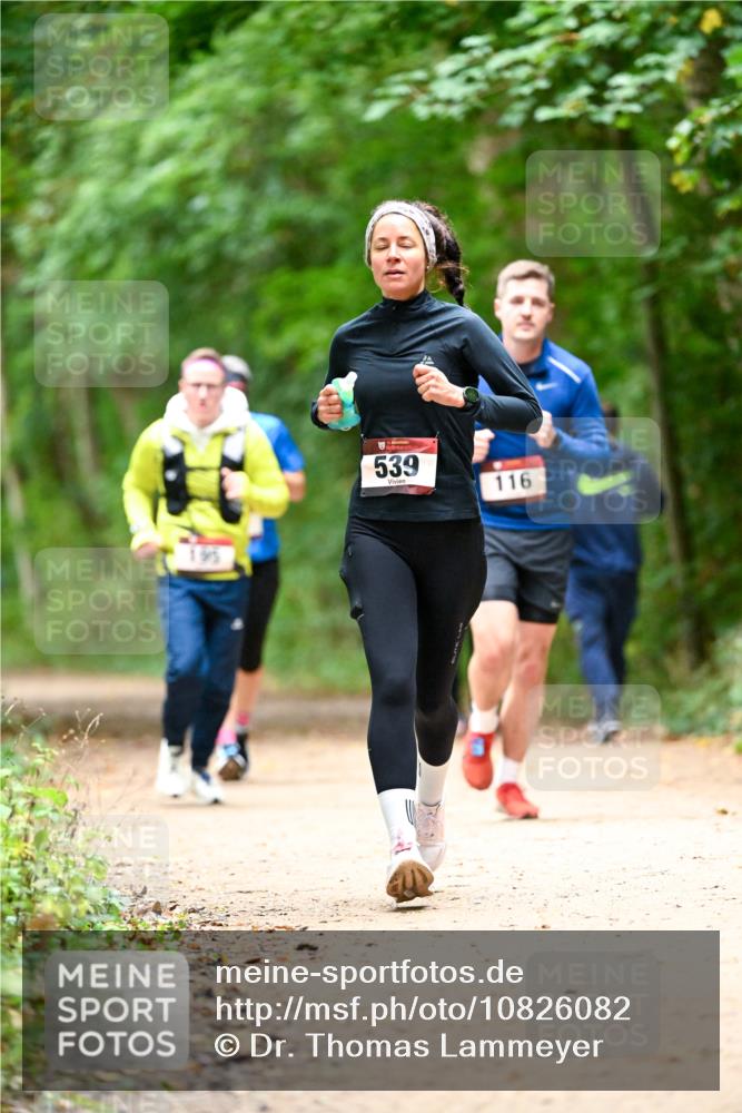 11.10.2026 - Bramfelder Halbmarathon 2026 Dr. Thomas Lammeyer http://msf.ph/oto/10826082 11.10.2026 10:53:25 Laufen 195, 539, 116 meine-sportfotos.de
