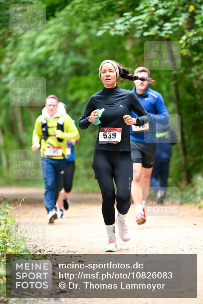 11.10.2026 - Bramfelder Halbmarathon 2026 Dr. Thomas Lammeyer http://msf.ph/oto/10826083 11.10.2026 10:53:25 Laufen 539 meine-sportfotos.de