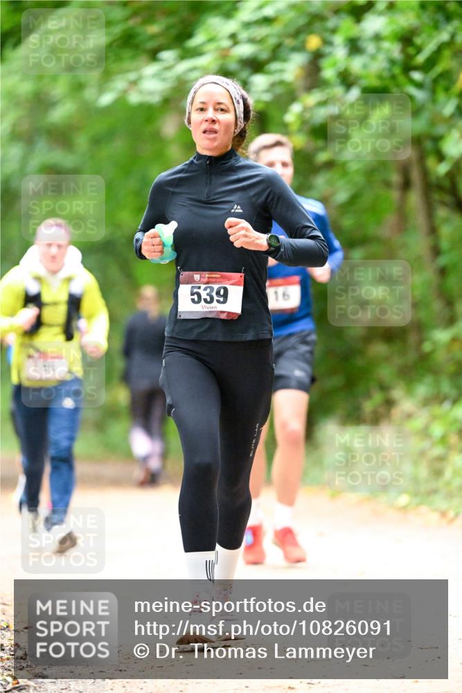 11.10.2026 - Bramfelder Halbmarathon 2026 Dr. Thomas Lammeyer http://msf.ph/oto/10826091 11.10.2026 10:53:26 Laufen 539, 116 meine-sportfotos.de