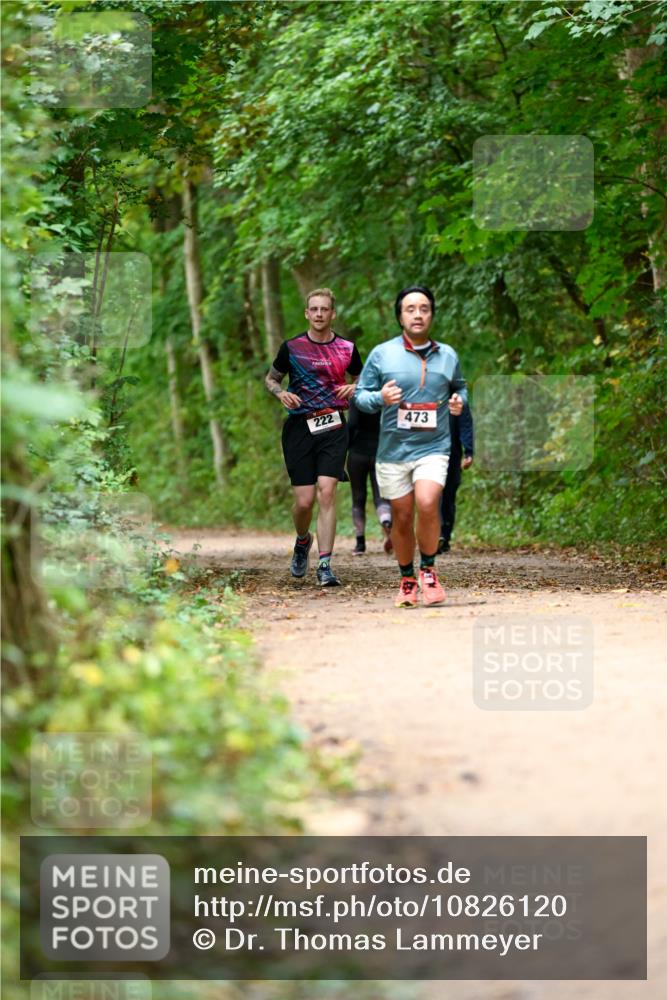 11.10.2026 - Bramfelder Halbmarathon 2026 Dr. Thomas Lammeyer http://msf.ph/oto/10826120 11.10.2026 10:53:36 Laufen 222, 473 meine-sportfotos.de