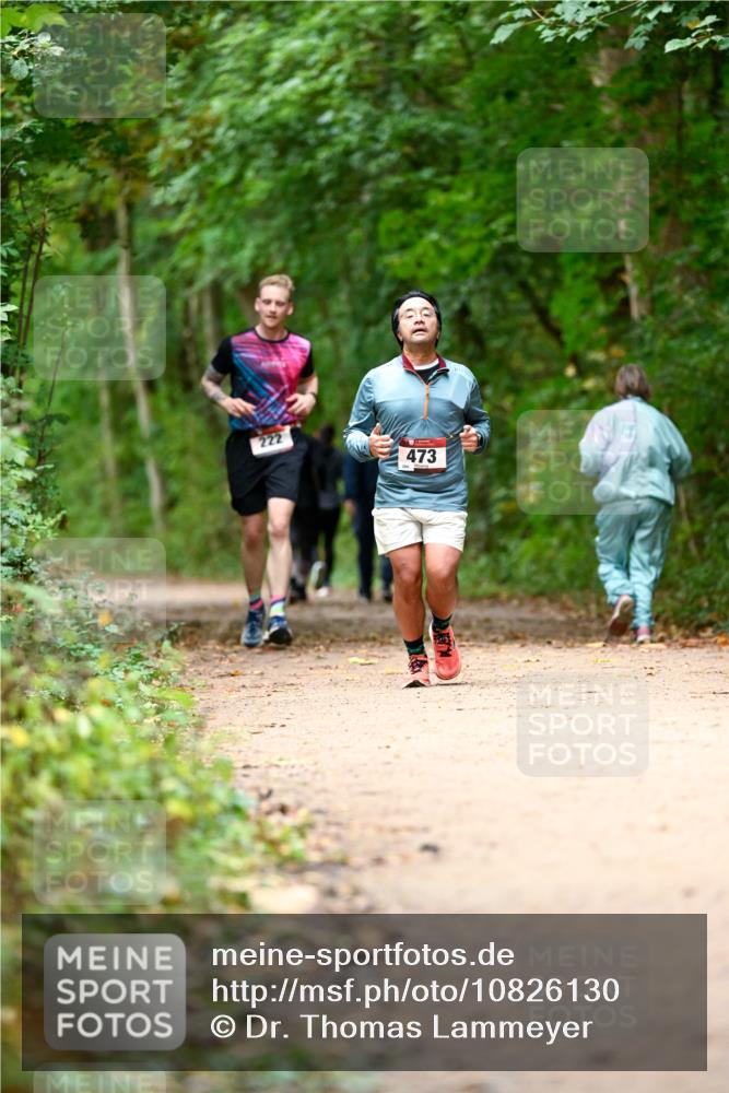 11.10.2026 - Bramfelder Halbmarathon 2026 Dr. Thomas Lammeyer http://msf.ph/oto/10826130 11.10.2026 10:53:37 Laufen 222, 473 meine-sportfotos.de