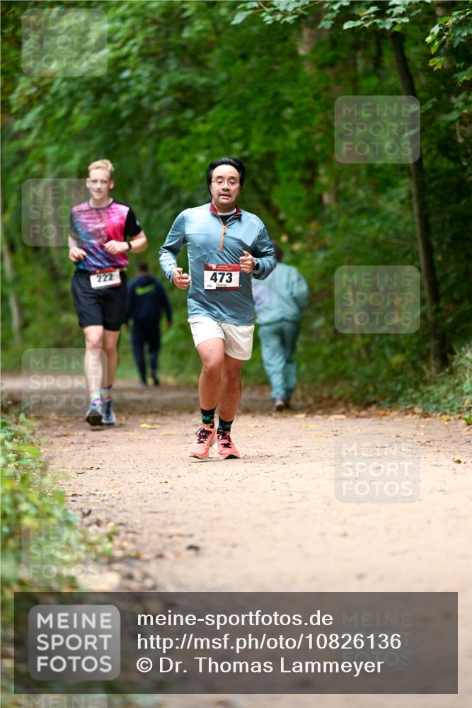 11.10.2026 - Bramfelder Halbmarathon 2026 Dr. Thomas Lammeyer http://msf.ph/oto/10826136 11.10.2026 10:53:38 Laufen 222, 473 meine-sportfotos.de