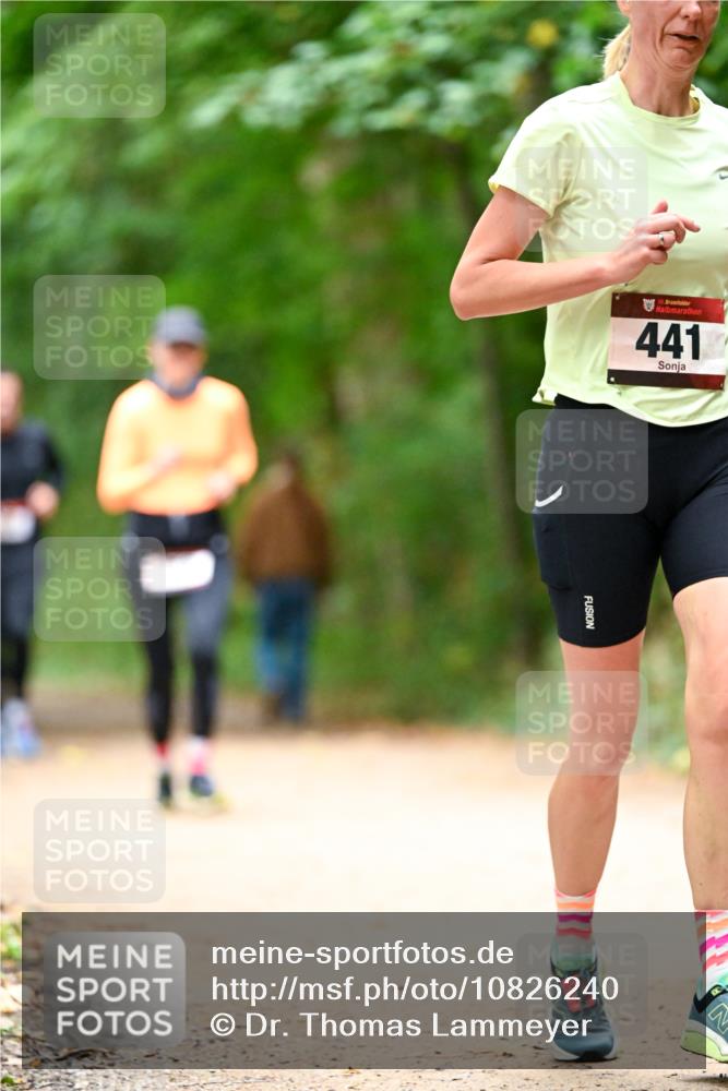 11.10.2026 - Bramfelder Halbmarathon 2026 Dr. Thomas Lammeyer http://msf.ph/oto/10826240 11.10.2026 10:54:14 Laufen 441 meine-sportfotos.de