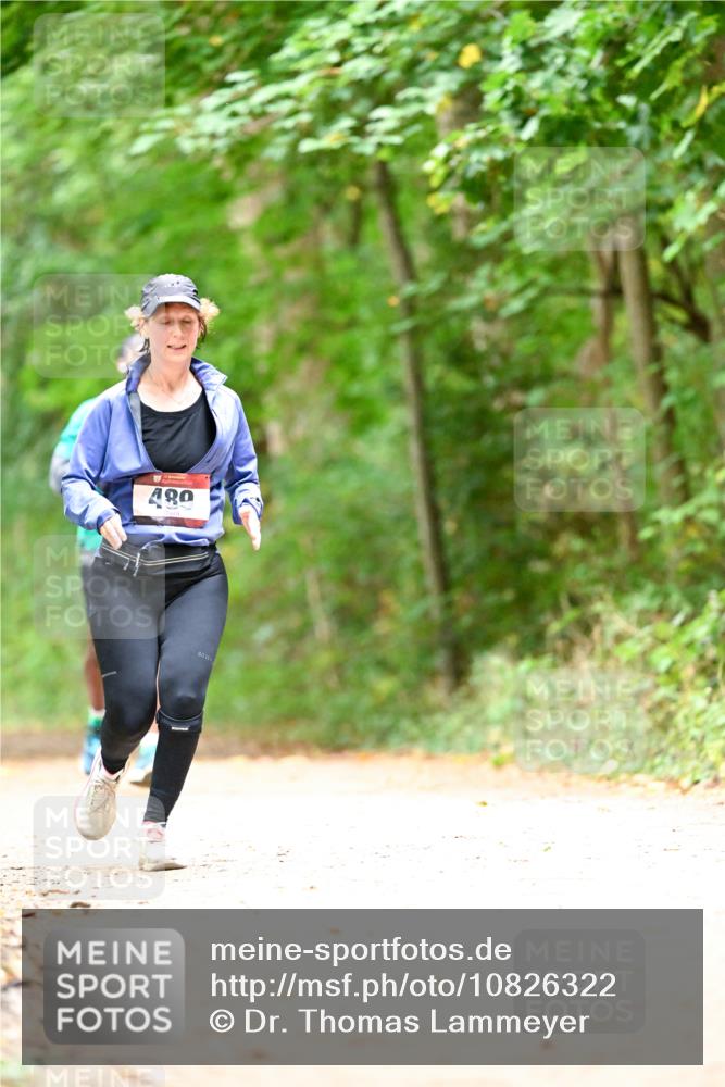 11.10.2026 - Bramfelder Halbmarathon 2026 Dr. Thomas Lammeyer http://msf.ph/oto/10826322 11.10.2026 10:55:07 Laufen 480 meine-sportfotos.de