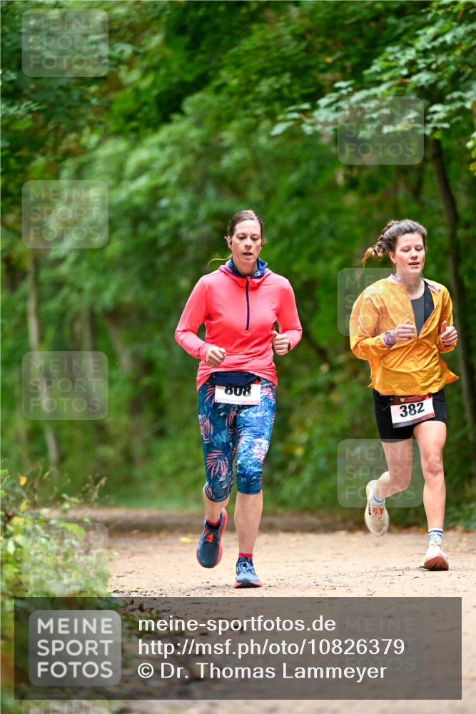 11.10.2026 - Bramfelder Halbmarathon 2026 Dr. Thomas Lammeyer http://msf.ph/oto/10826379 11.10.2026 10:55:32 Laufen 808, 382 meine-sportfotos.de