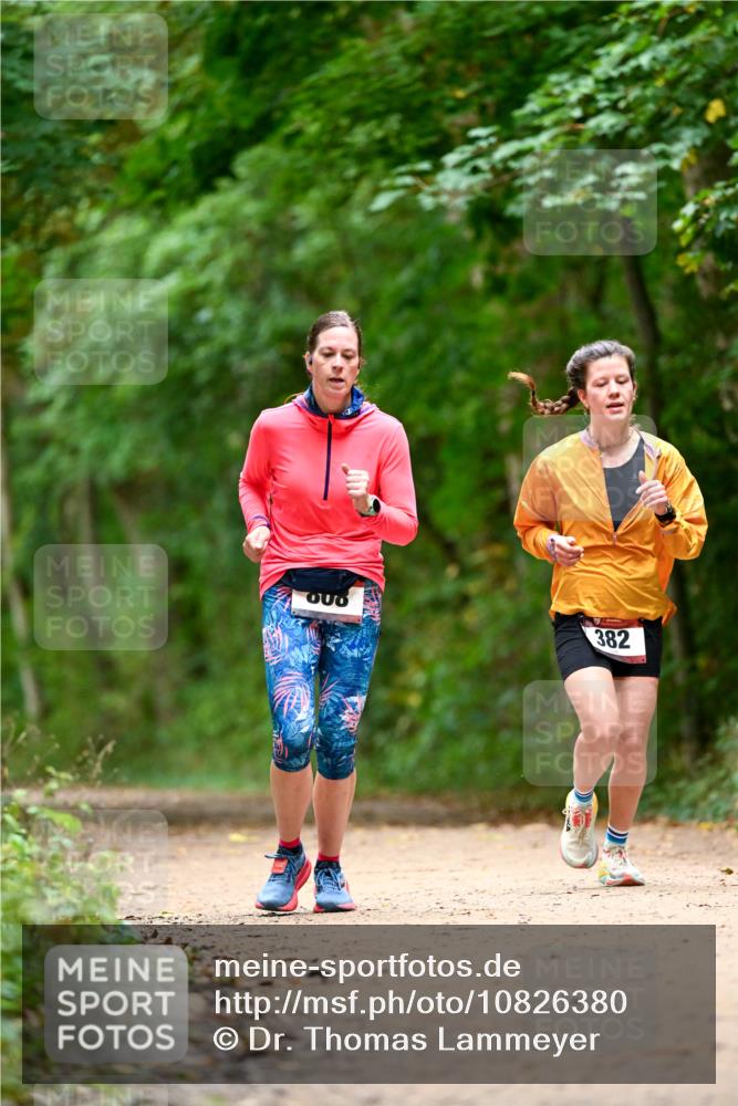 11.10.2026 - Bramfelder Halbmarathon 2026 Dr. Thomas Lammeyer http://msf.ph/oto/10826380 11.10.2026 10:55:32 Laufen 382, 900 meine-sportfotos.de