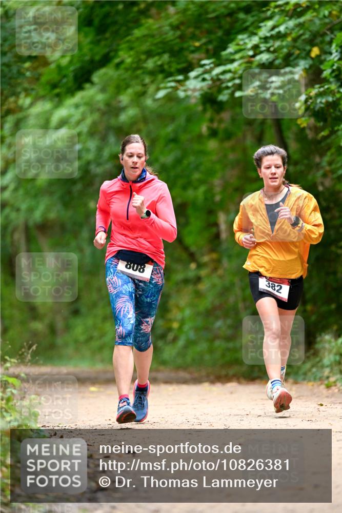 11.10.2026 - Bramfelder Halbmarathon 2026 Dr. Thomas Lammeyer http://msf.ph/oto/10826381 11.10.2026 10:55:32 Laufen 808, 382 meine-sportfotos.de