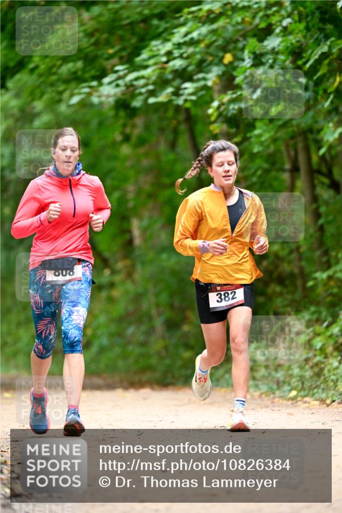 11.10.2026 - Bramfelder Halbmarathon 2026 Dr. Thomas Lammeyer http://msf.ph/oto/10826384 11.10.2026 10:55:32 Laufen 909, 382 meine-sportfotos.de
