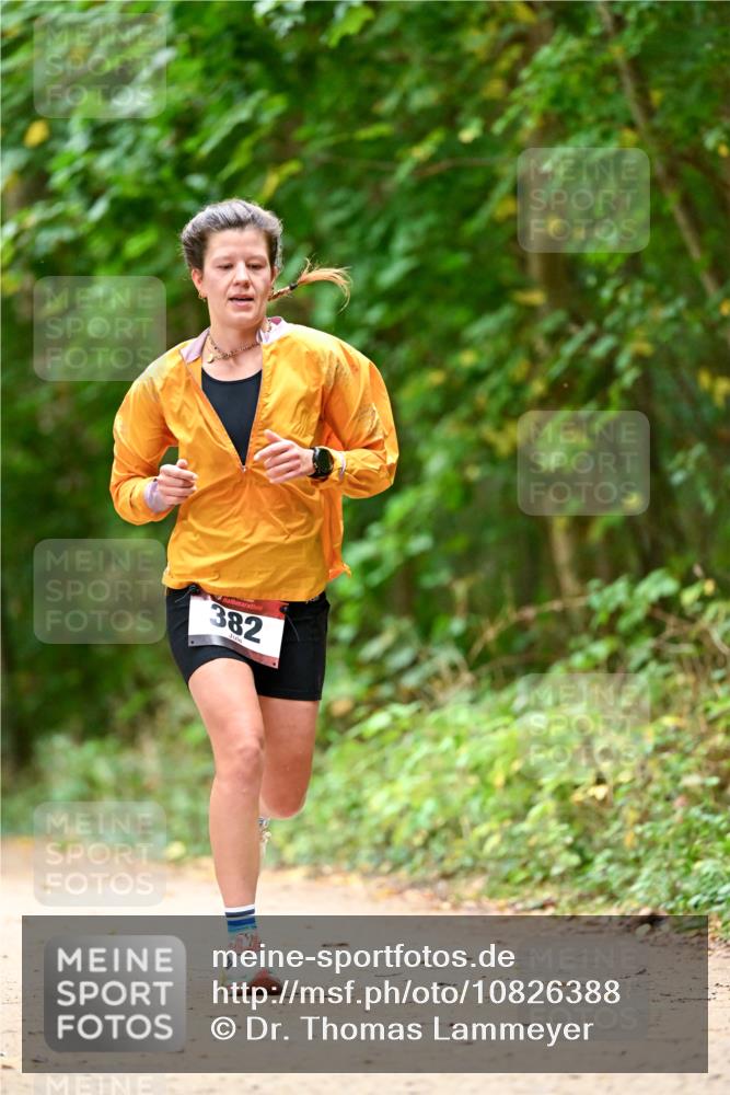 11.10.2026 - Bramfelder Halbmarathon 2026 Dr. Thomas Lammeyer http://msf.ph/oto/10826388 11.10.2026 10:55:33 Laufen 382 meine-sportfotos.de