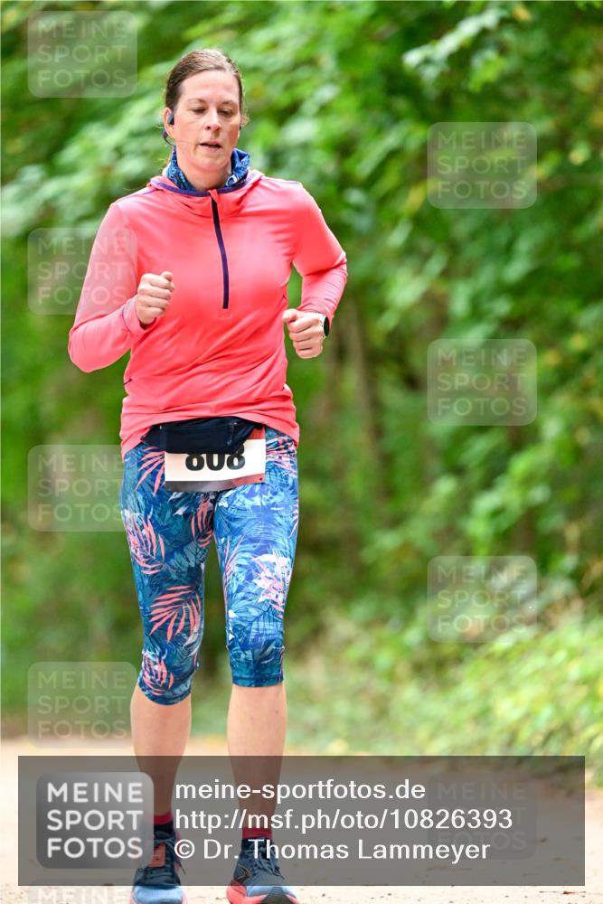 11.10.2026 - Bramfelder Halbmarathon 2026 Dr. Thomas Lammeyer http://msf.ph/oto/10826393 11.10.2026 10:55:35 Laufen  meine-sportfotos.de