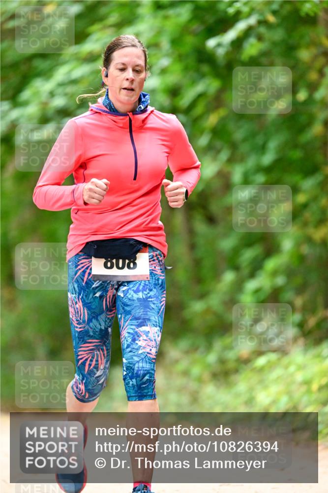 11.10.2026 - Bramfelder Halbmarathon 2026 Dr. Thomas Lammeyer http://msf.ph/oto/10826394 11.10.2026 10:55:35 Laufen  meine-sportfotos.de