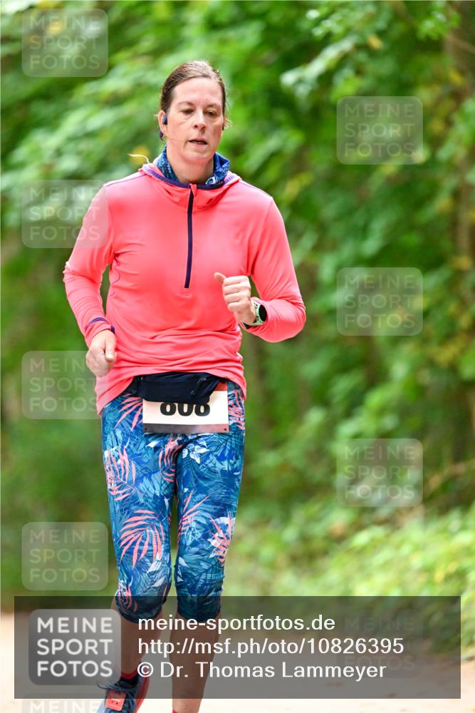 11.10.2026 - Bramfelder Halbmarathon 2026 Dr. Thomas Lammeyer http://msf.ph/oto/10826395 11.10.2026 10:55:35 Laufen  meine-sportfotos.de