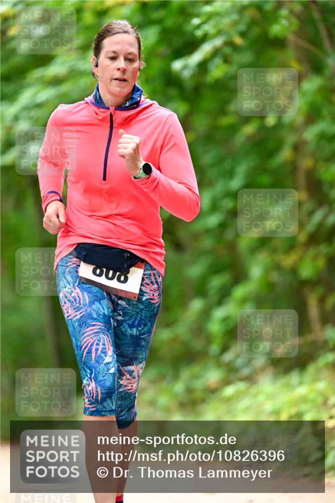 11.10.2026 - Bramfelder Halbmarathon 2026 Dr. Thomas Lammeyer http://msf.ph/oto/10826396 11.10.2026 10:55:35 Laufen  meine-sportfotos.de