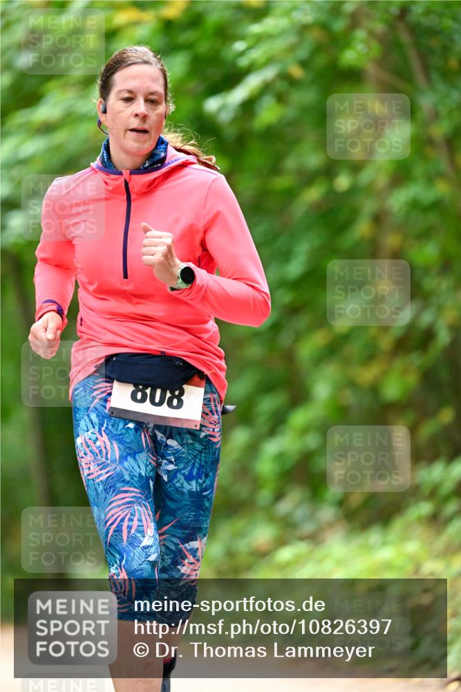 11.10.2026 - Bramfelder Halbmarathon 2026 Dr. Thomas Lammeyer http://msf.ph/oto/10826397 11.10.2026 10:55:35 Laufen 808 meine-sportfotos.de