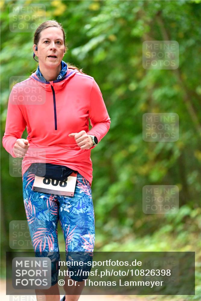 11.10.2026 - Bramfelder Halbmarathon 2026 Dr. Thomas Lammeyer http://msf.ph/oto/10826398 11.10.2026 10:55:35 Laufen 6 meine-sportfotos.de