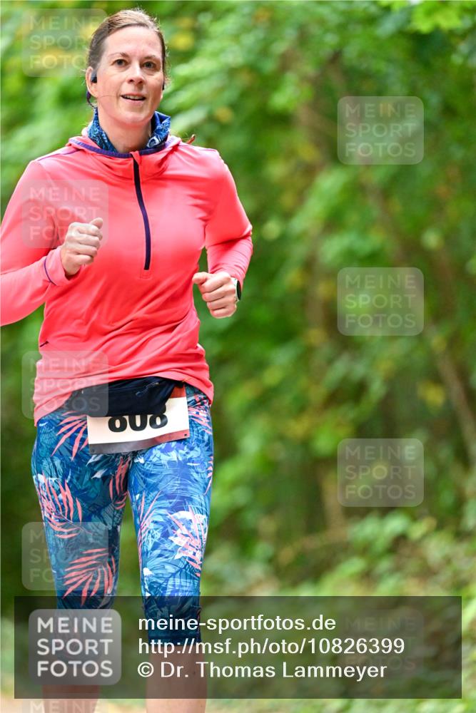 11.10.2026 - Bramfelder Halbmarathon 2026 Dr. Thomas Lammeyer http://msf.ph/oto/10826399 11.10.2026 10:55:35 Laufen  meine-sportfotos.de