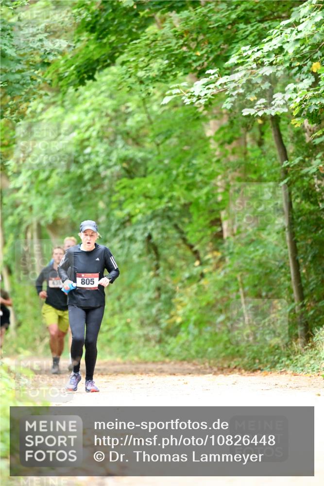 11.10.2026 - Bramfelder Halbmarathon 2026 Dr. Thomas Lammeyer http://msf.ph/oto/10826448 11.10.2026 10:56:20 Laufen 805 meine-sportfotos.de