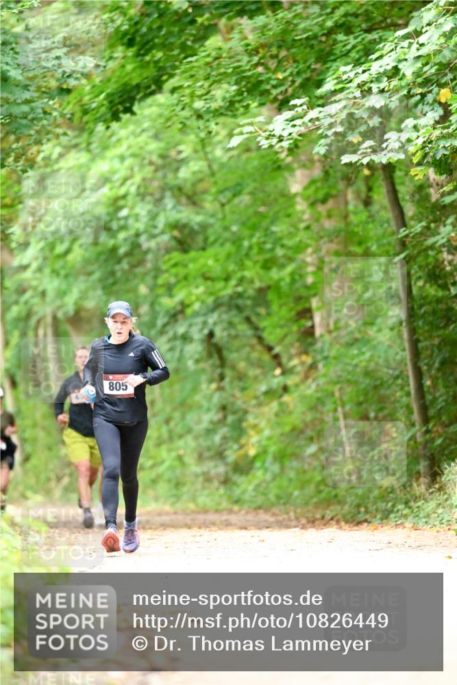 11.10.2026 - Bramfelder Halbmarathon 2026 Dr. Thomas Lammeyer http://msf.ph/oto/10826449 11.10.2026 10:56:20 Laufen 805 meine-sportfotos.de