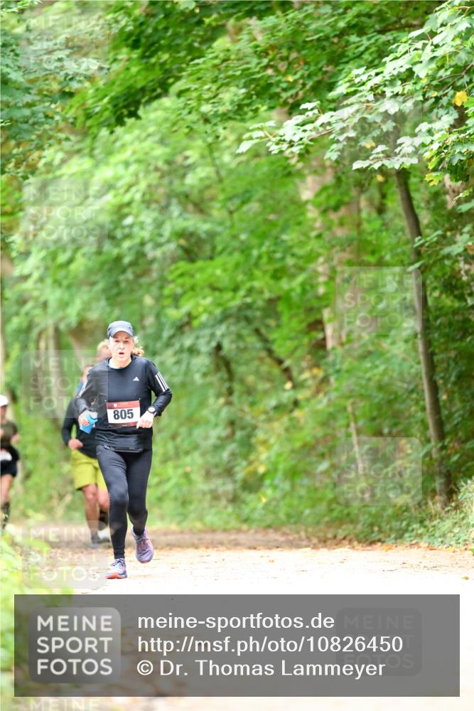 11.10.2026 - Bramfelder Halbmarathon 2026 Dr. Thomas Lammeyer http://msf.ph/oto/10826450 11.10.2026 10:56:20 Laufen 805 meine-sportfotos.de