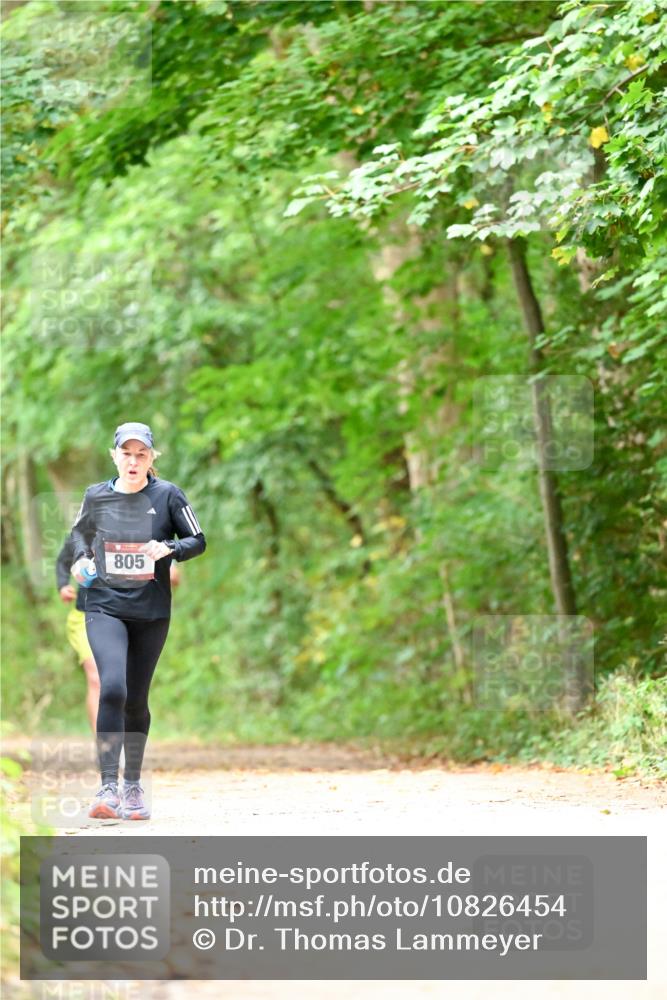 11.10.2026 - Bramfelder Halbmarathon 2026 Dr. Thomas Lammeyer http://msf.ph/oto/10826454 11.10.2026 10:56:21 Laufen 805 meine-sportfotos.de