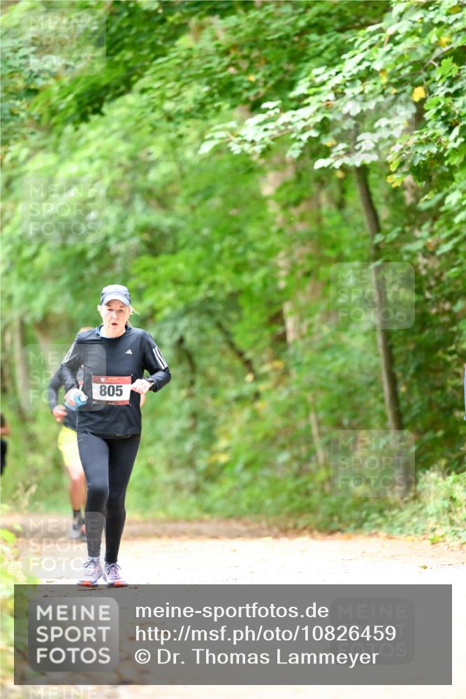 11.10.2026 - Bramfelder Halbmarathon 2026 Dr. Thomas Lammeyer http://msf.ph/oto/10826459 11.10.2026 10:56:22 Laufen 805 meine-sportfotos.de