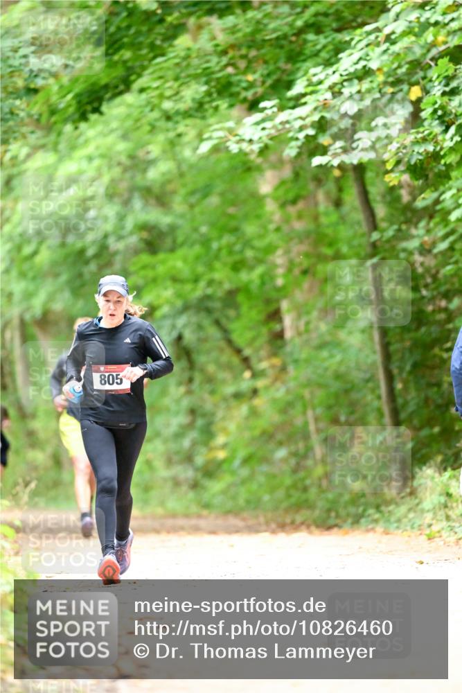 11.10.2026 - Bramfelder Halbmarathon 2026 Dr. Thomas Lammeyer http://msf.ph/oto/10826460 11.10.2026 10:56:22 Laufen 805 meine-sportfotos.de