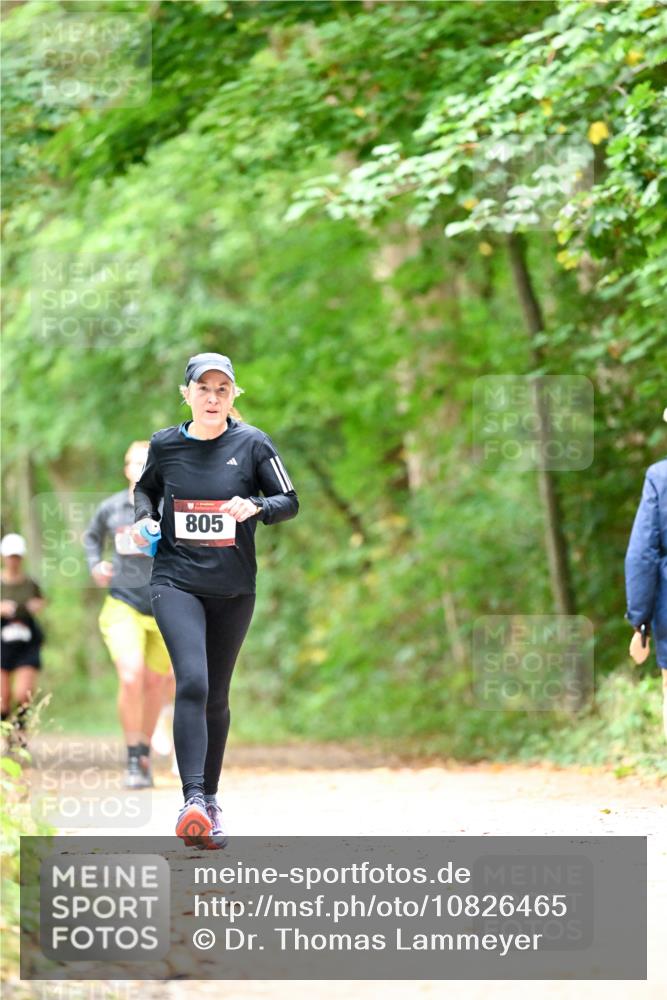 11.10.2026 - Bramfelder Halbmarathon 2026 Dr. Thomas Lammeyer http://msf.ph/oto/10826465 11.10.2026 10:56:22 Laufen 805 meine-sportfotos.de