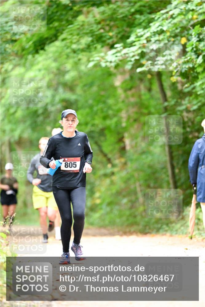 11.10.2026 - Bramfelder Halbmarathon 2026 Dr. Thomas Lammeyer http://msf.ph/oto/10826467 11.10.2026 10:56:23 Laufen 805 meine-sportfotos.de