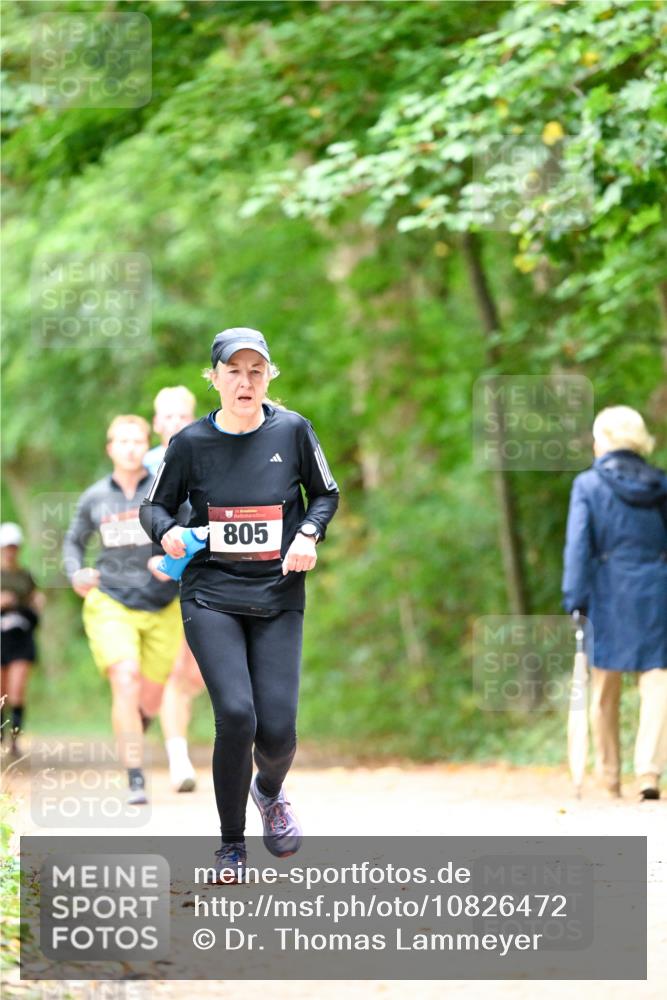 11.10.2026 - Bramfelder Halbmarathon 2026 Dr. Thomas Lammeyer http://msf.ph/oto/10826472 11.10.2026 10:56:23 Laufen 805 meine-sportfotos.de