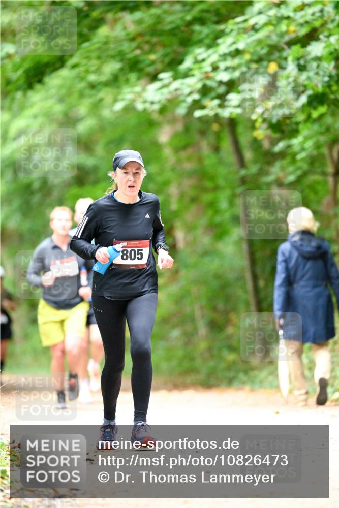 11.10.2026 - Bramfelder Halbmarathon 2026 Dr. Thomas Lammeyer http://msf.ph/oto/10826473 11.10.2026 10:56:23 Laufen 805 meine-sportfotos.de
