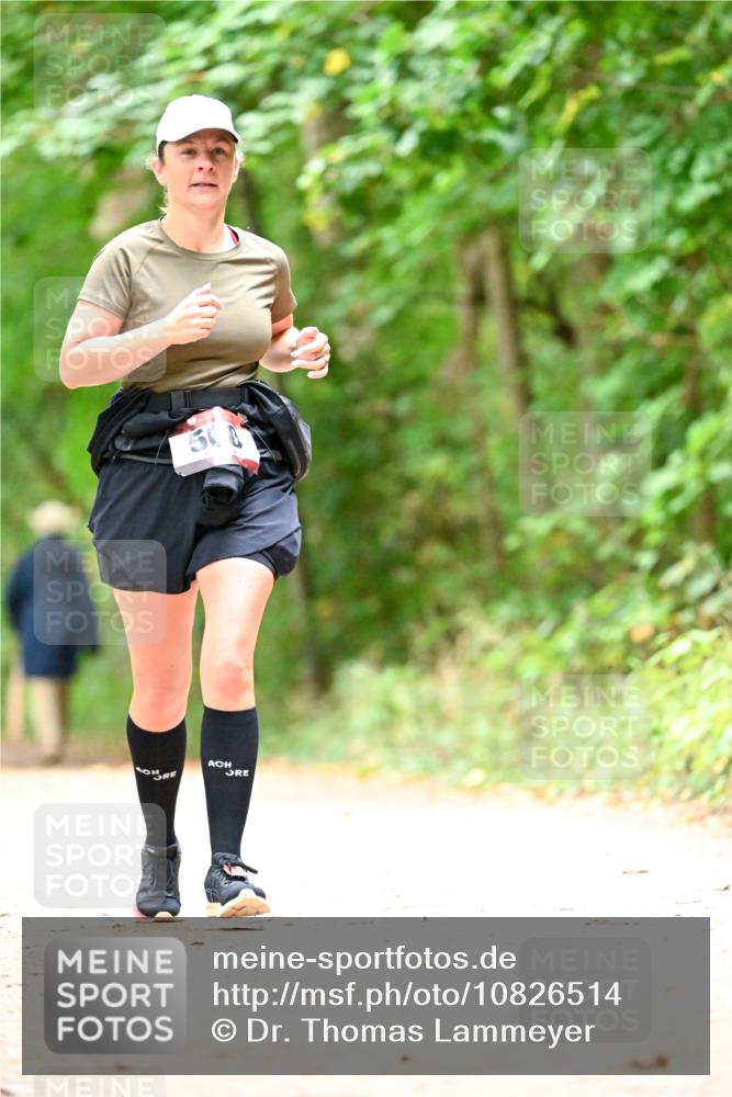 11.10.2026 - Bramfelder Halbmarathon 2026 Dr. Thomas Lammeyer http://msf.ph/oto/10826514 11.10.2026 10:56:34 Laufen  meine-sportfotos.de