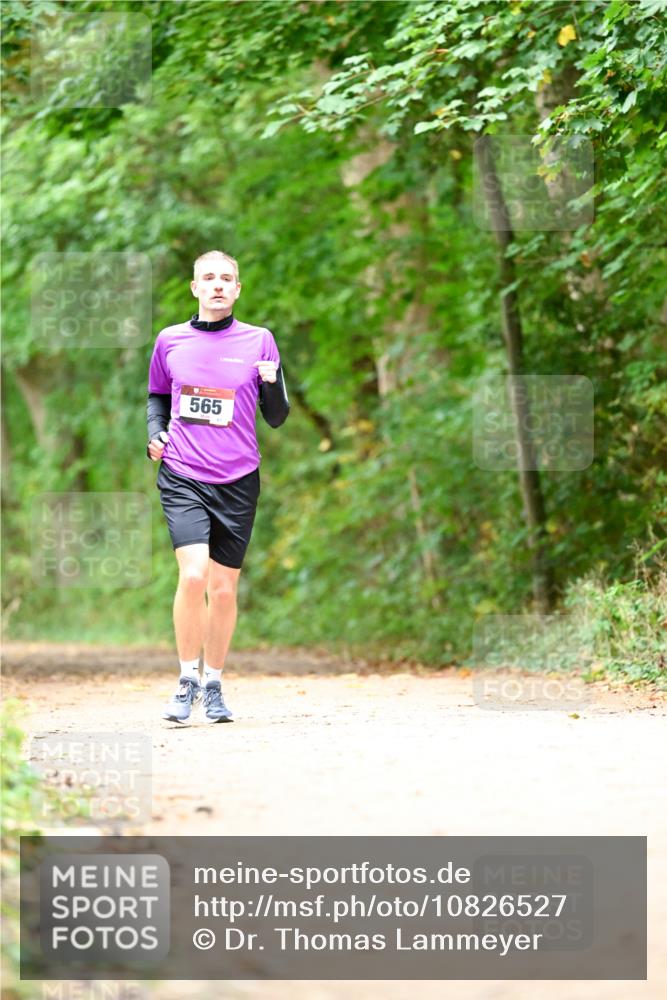 11.10.2026 - Bramfelder Halbmarathon 2026 Dr. Thomas Lammeyer http://msf.ph/oto/10826527 11.10.2026 10:56:59 Laufen 565 meine-sportfotos.de