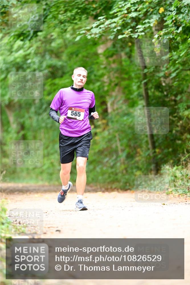 11.10.2026 - Bramfelder Halbmarathon 2026 Dr. Thomas Lammeyer http://msf.ph/oto/10826529 11.10.2026 10:57:00 Laufen 565 meine-sportfotos.de