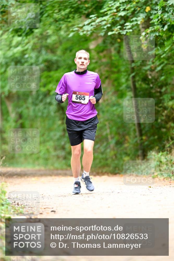 11.10.2026 - Bramfelder Halbmarathon 2026 Dr. Thomas Lammeyer http://msf.ph/oto/10826533 11.10.2026 10:57:00 Laufen 565 meine-sportfotos.de