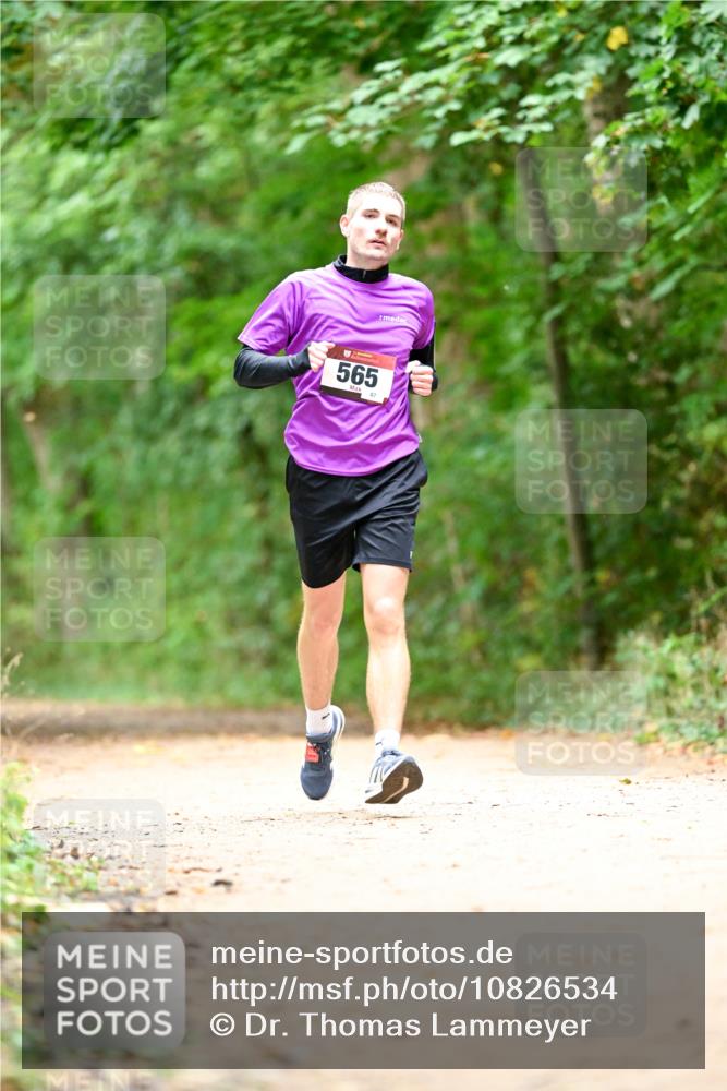 11.10.2026 - Bramfelder Halbmarathon 2026 Dr. Thomas Lammeyer http://msf.ph/oto/10826534 11.10.2026 10:57:01 Laufen 565, 87 meine-sportfotos.de