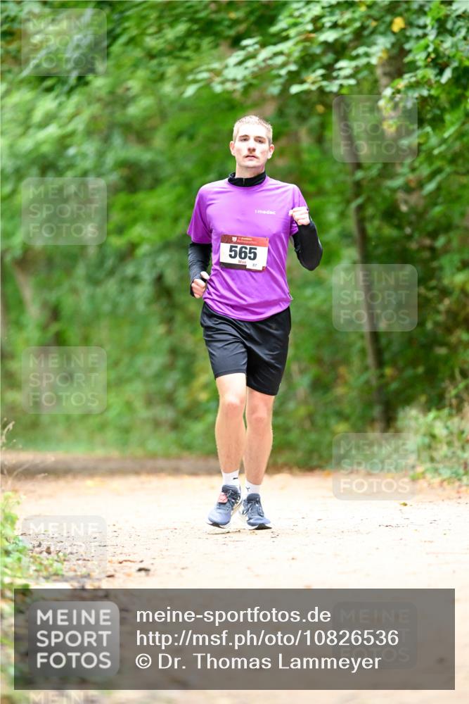11.10.2026 - Bramfelder Halbmarathon 2026 Dr. Thomas Lammeyer http://msf.ph/oto/10826536 11.10.2026 10:57:01 Laufen 565, 87 meine-sportfotos.de