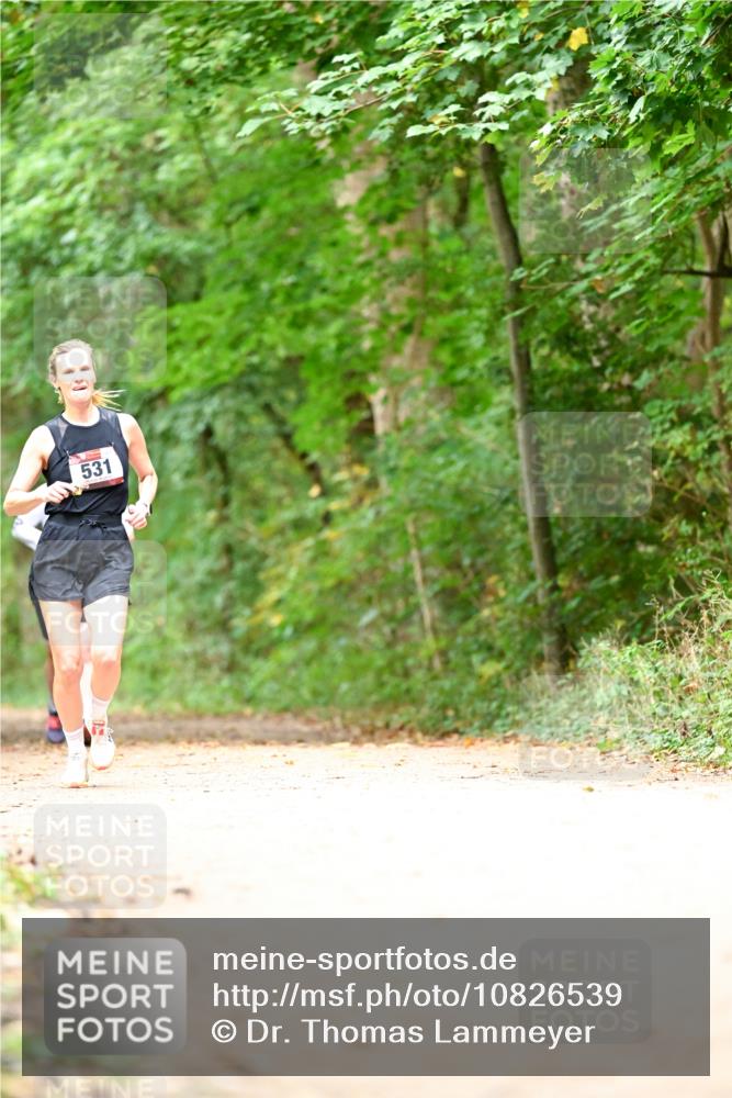 11.10.2026 - Bramfelder Halbmarathon 2026 Dr. Thomas Lammeyer http://msf.ph/oto/10826539 11.10.2026 10:57:16 Laufen 531 meine-sportfotos.de