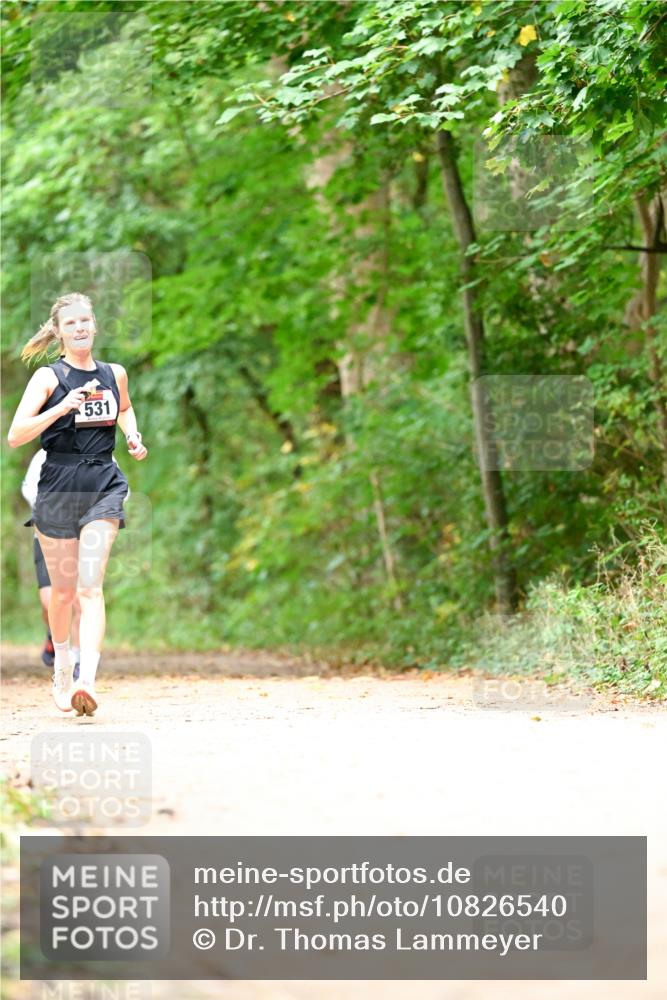 11.10.2026 - Bramfelder Halbmarathon 2026 Dr. Thomas Lammeyer http://msf.ph/oto/10826540 11.10.2026 10:57:16 Laufen 531 meine-sportfotos.de